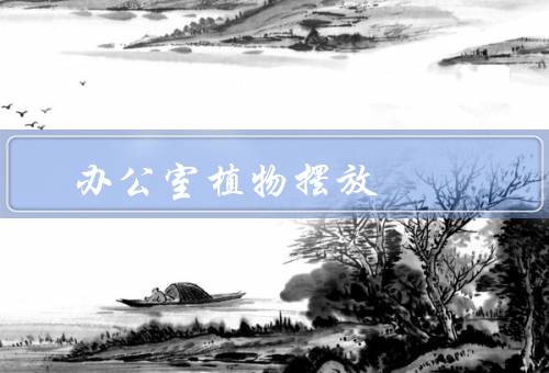 办公室植物摆放风水（办公室选择、摆放位置、养护与清洁）