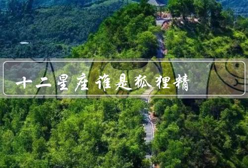 十二星座谁是狐狸精（白羊座、金牛座、双子座）