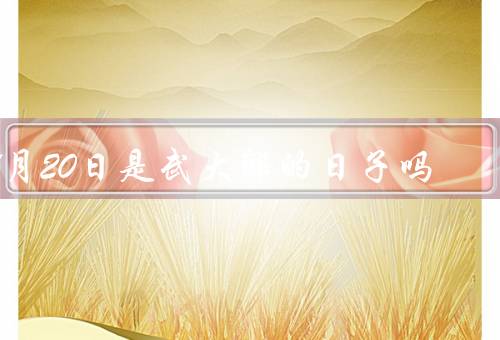 5月20日是武大郎死的日子吗，故事、被害经过、形象