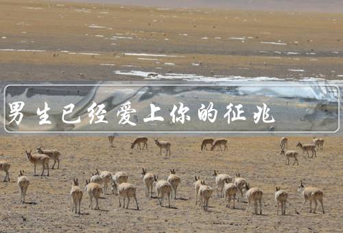 男生已经爱上你的征兆，对你关心备至／时刻关注你的动态