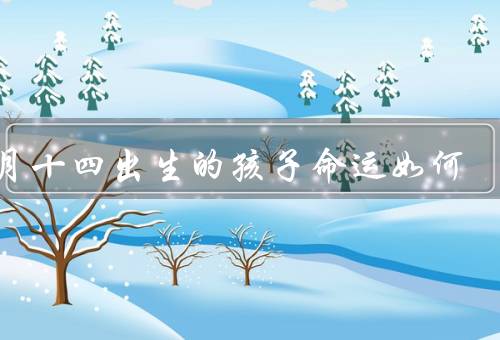 二月十四出生的孩子命运如何（自信与果断、情绪波动、社交与合作）