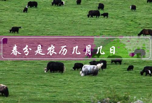 春分是农历几月几日（来历／特点／习俗）
