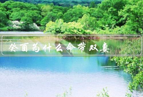 癸酉为什么命带双妻（妻财官杀格局／婚姻不顺的原因／应对之道）