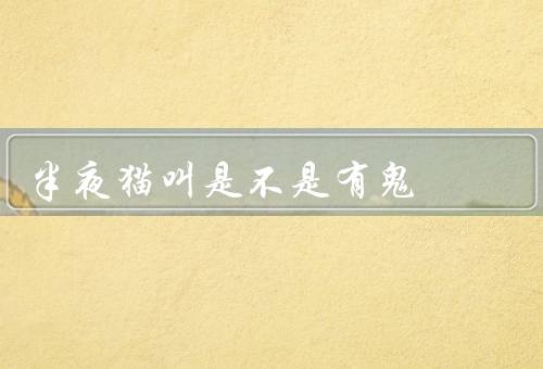 半夜猫叫是不是有鬼，猫叫的原因、人们的恐惧心理、科学解释