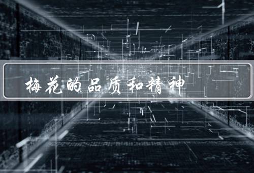 梅花的品质和精神，高洁、坚强、不屈不挠