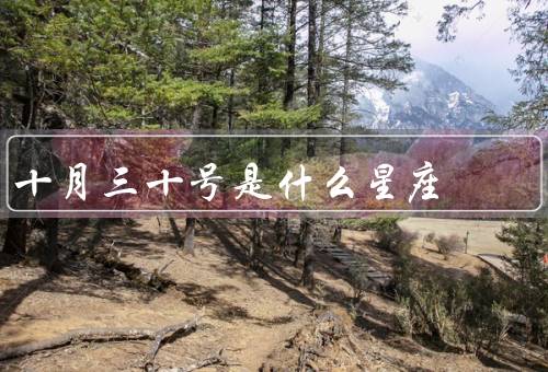 十月三十号是什么星座（特点、爱情观、事业发展）