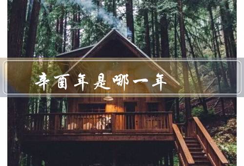 辛酉年是哪一年，辛酉年生石榴木命，哪一年／生石榴木命的人特点