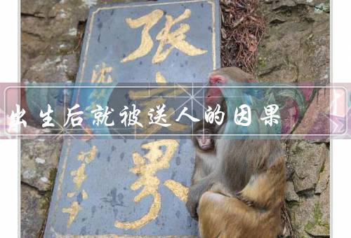 出生后就被送人的因果，家庭因素／社会因素／结论