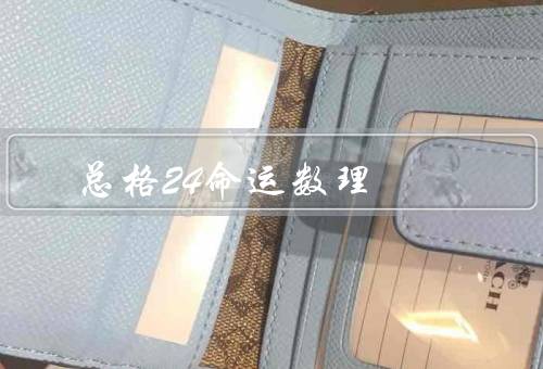 总格24命运数理，解读／应用