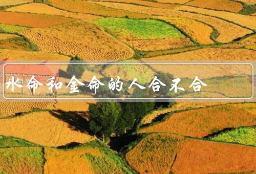 水命和金命的人合不合（相性分析／互补优势／共同成长）