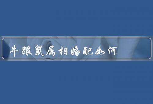 牛跟鼠属相婚配如何（优势／挑战／建议）