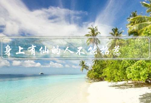身上有仙的人不能招惹，仙力威严／神秘身份／特殊任务