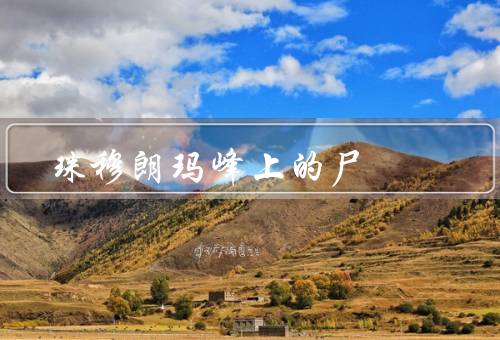 珠穆朗玛峰上的死尸（登顶的危险、无法移除的尸体、尸体的作用）