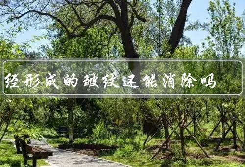 已经形成的皱纹还能消除吗（皮肤护理／美容技术／生活习惯）