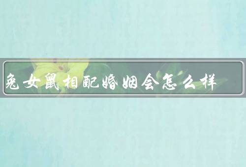 男兔女鼠相配婚姻会怎么样，相互补充／互相包容