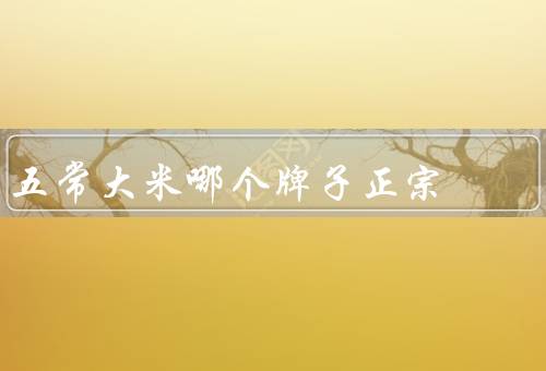 五常大米哪个牌子正宗，品牌历史／生产工艺／口碑口感