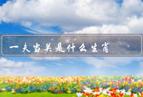 一夫当关是什么生肖，特征、职业选择、爱情婚姻