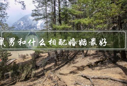 鼠男和什么相配婚姻最好（家庭观念相符／互补性格特点）