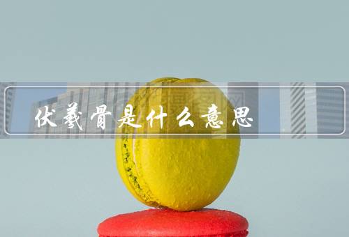 伏羲骨是什么意思（起源、形态特征、文化意义）