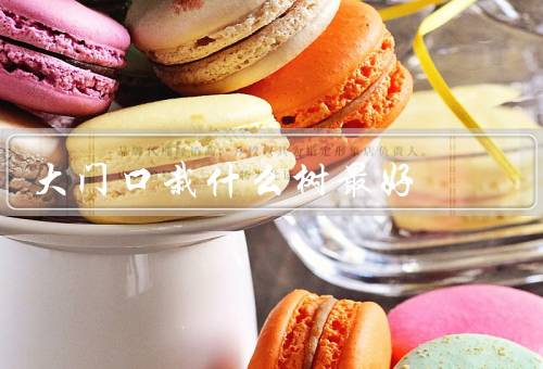 大门口栽什么树最好，绿化效果好的树种、具备观赏价值的树种