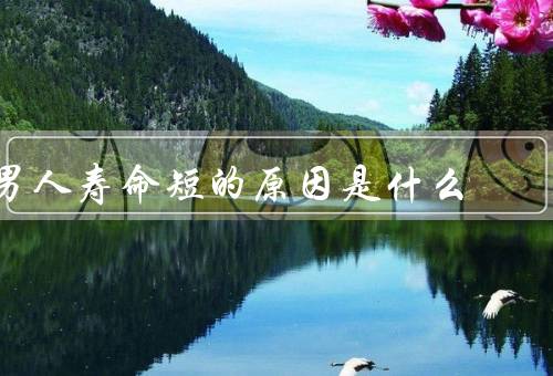 男人寿命短的原因是什么，男性生理特点／社会压力与生活方式