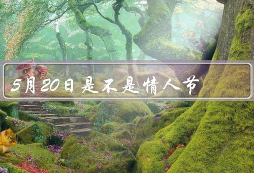 5月20日是不是情人节（起源／传播／个人意义）