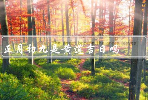 正月初九是黄道吉日吗，黄道吉日、传统习俗、祈福意义