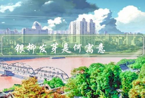 银柳发芽是何寓意，美丽、寓意、启示