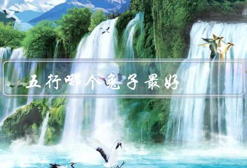 五行哪个兔子最好，金兔子、木兔子、水兔子