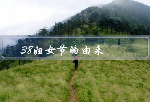38妇女节的由来（女工运动／第一次庆祝／38妇女节的重要意义）