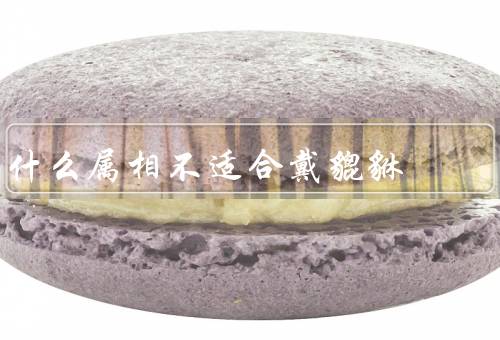 什么属相不适合戴貔貅（不适合戴貔貅的属相、为什么不适合）