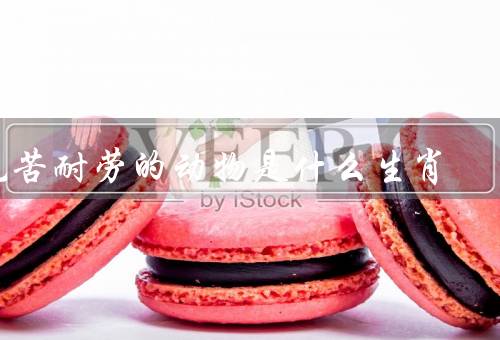 吃苦耐劳的动物是什么生肖（劳动精神、耐力和毅力、默默奉献）