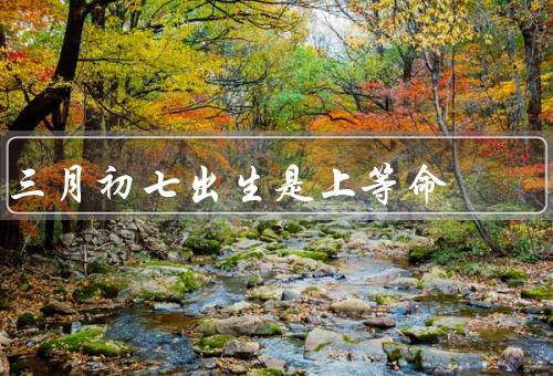 三月初七出生是上等命（性格特点、事业发展、人际关系）
