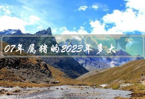 07年属猪的2023年多大，成年礼／学业与就业选择