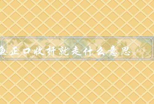 死鱼正口收杆就走什么意思，钓鱼之乐／对自然的尊重／珍惜时间