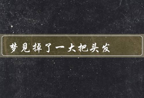 梦见掉了一大把头发，梦中的惊恐／头发的重视／生活的反思