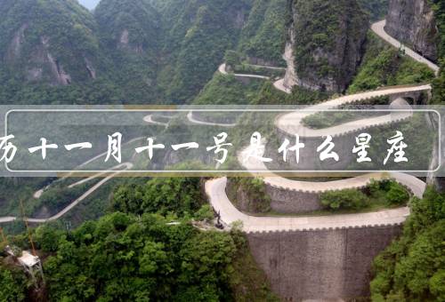 阳历十一月十一号是什么星座，特点、优点、缺点
