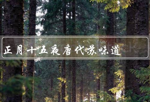 正月十五夜唐代苏味道，苏味道的元宵节／寄托思念的元宵节