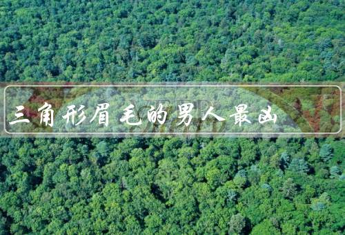 三角形眉毛的男人最凶，攻击性／最有自信／领导力