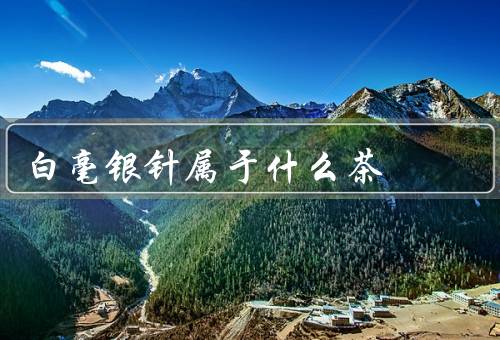 白毫银针属于什么茶，起源／特点／功效