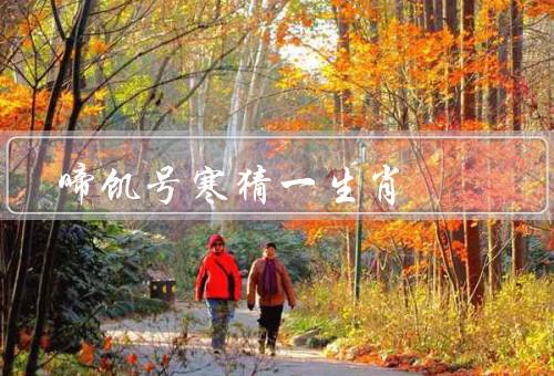 啼饥号寒猜一生肖（寻找方法、意义、传承）