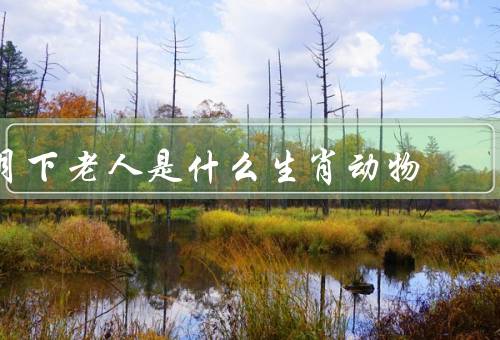 月下老人是什么生肖动物，来历／各种说法／意义