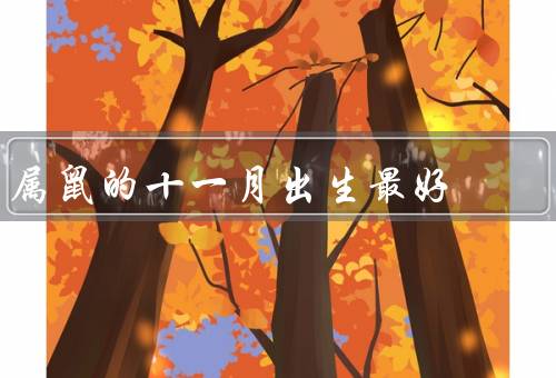属鼠的十一月出生最好，聪明过人／勤奋努力／热爱家庭
