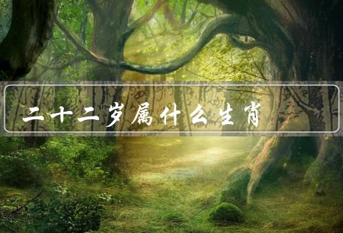 二十二岁属什么生肖，属什么生肖、闰年生肖与前一年生肖的关系