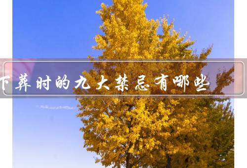 下葬时的九大禁忌有哪些（哭闹／谈笑／穿鲜艳衣服）