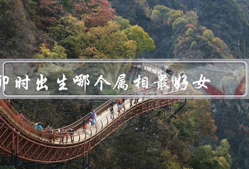 卯时出生哪个属相最好女（女性优势、职业发展、家庭生活）