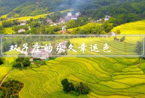 双子座的永久幸运色（个性特点／幸运色的意义／运用幸运色）