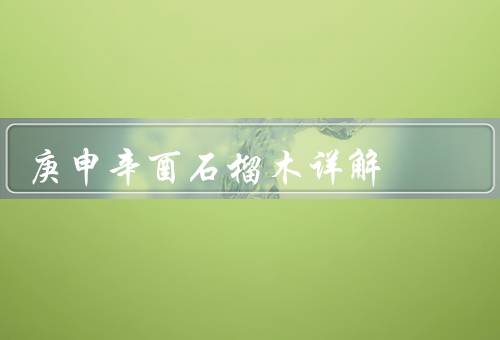 庚申辛酉石榴木详解（特点、用途、总结）