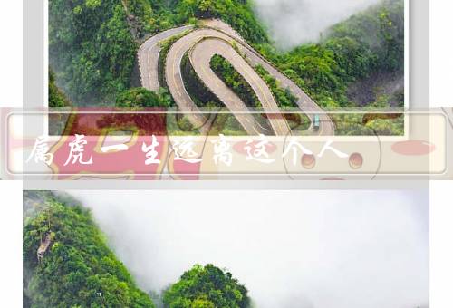 属虎一生远离这个人，自我、情绪波动大、冲动行事