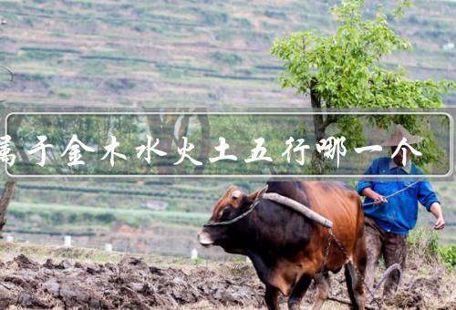刘属于金木水火土五行哪一个，刘属于火行特点／优势／发展建议